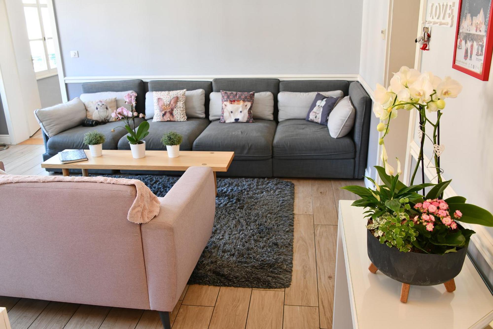 Appartement The Fairytale - Petite Venise Colmar Bagian luar foto